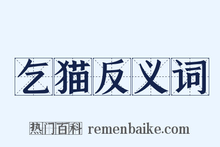 乞猫反义词是什么意思的图片